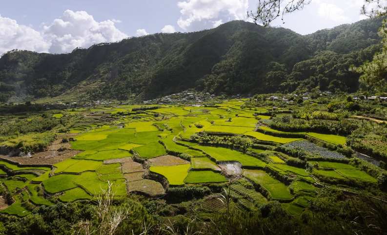 Sagada