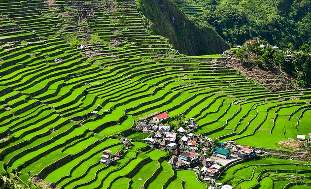 Beauty and Culture of Banaue