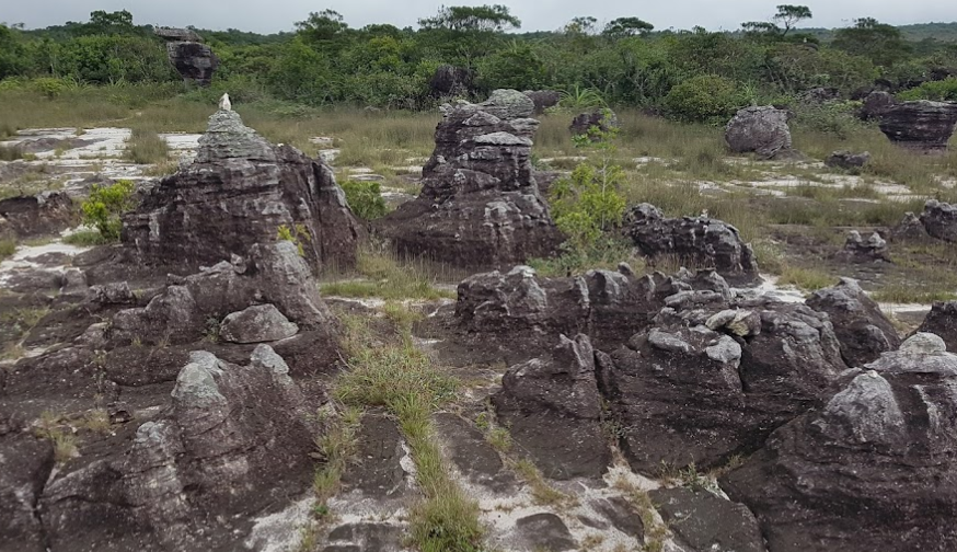 Bokor National Park A Journey through Nature and History