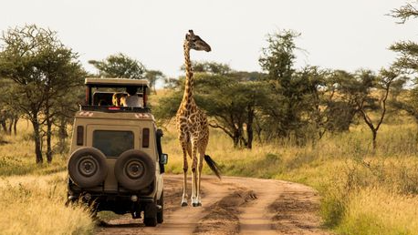 How to Travel in Africa