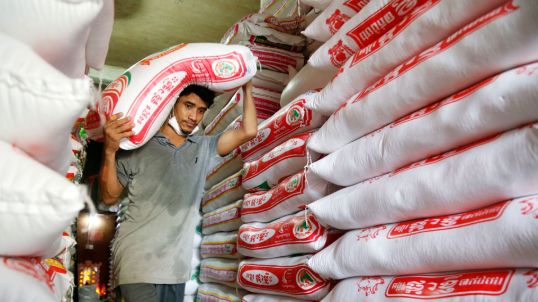 Saudi Arabia and Cambodia Explore Potential Rice Trade Agreement